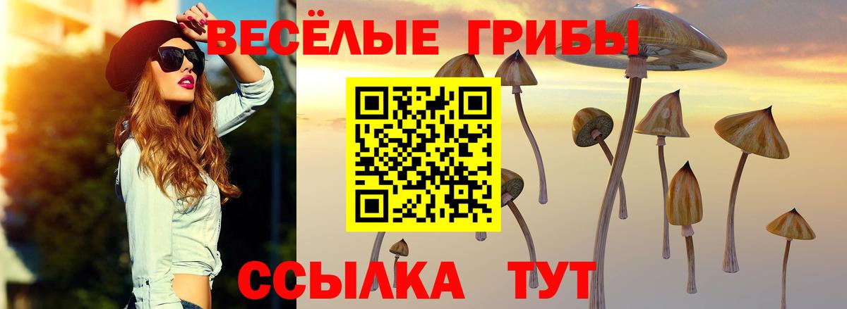 Галлюциногенные грибы Psilocybe  Вход с VPN  как найти закладки  Курган  Галлюциногенные грибы Magic Shrooms 